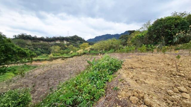 新竹北埔農地-3