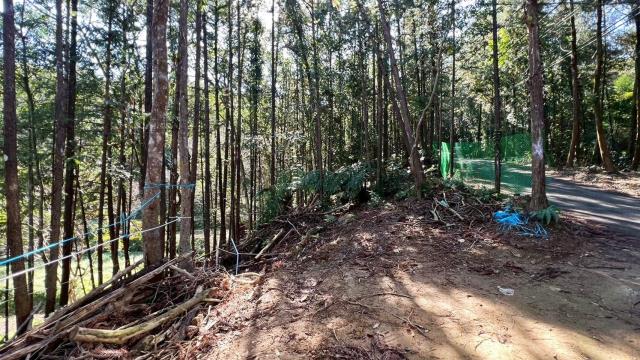 新竹竹東農地-5