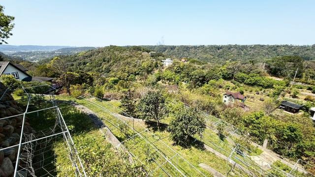 新竹關西農地-14