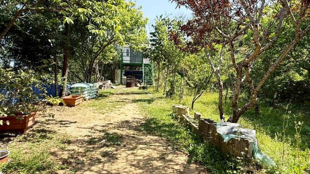 新竹關西農地-8