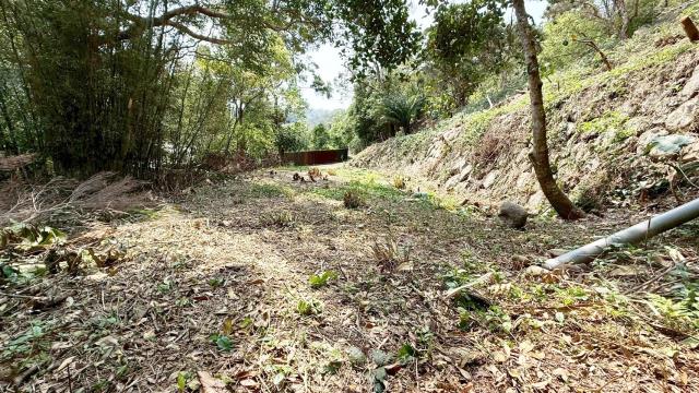 新竹關西農地-9