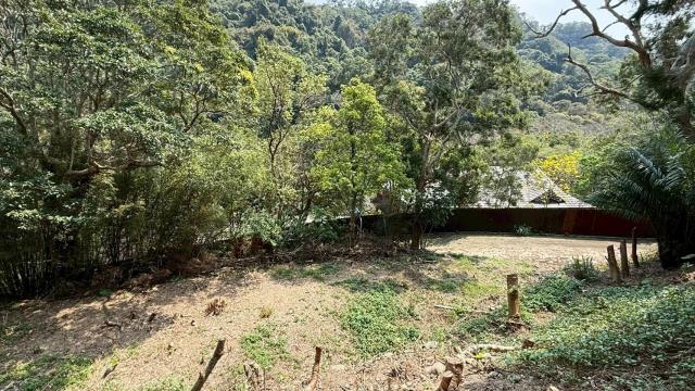 新竹關西農地-12