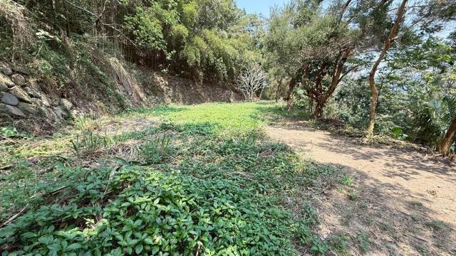 新竹關西農地-3