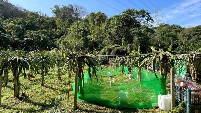 新竹峨眉農地-10