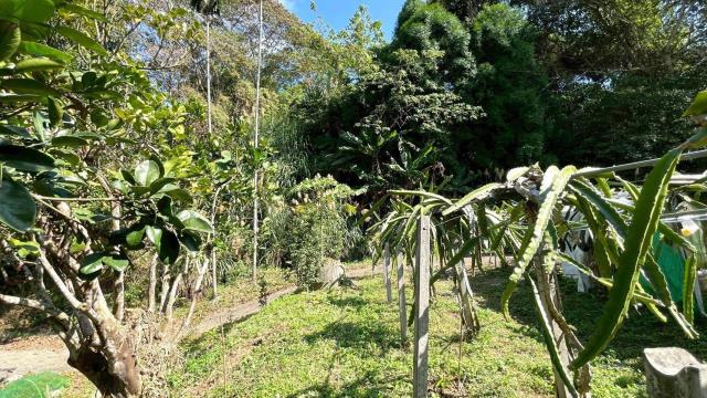 新竹峨眉農地-14