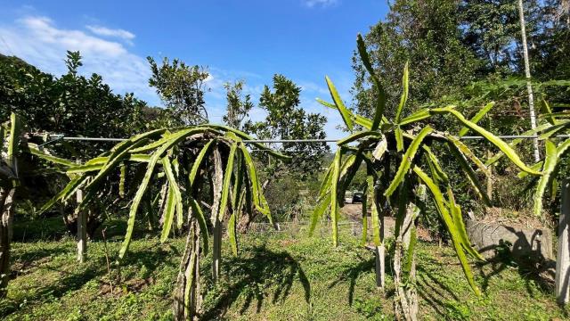 新竹峨眉農地-2