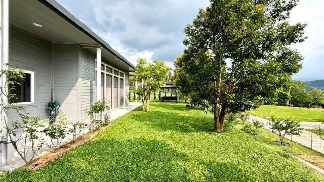 新竹關西農地-11