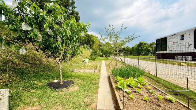 新竹關西農地-4